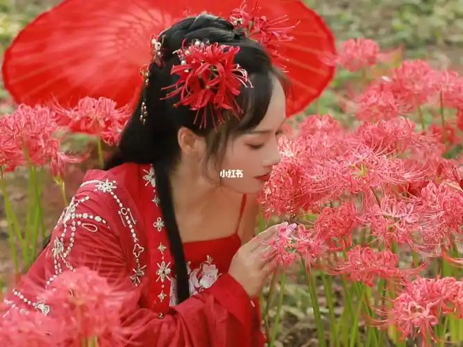 曼珠沙华朋友都说像苍兰诀里的赤地女子