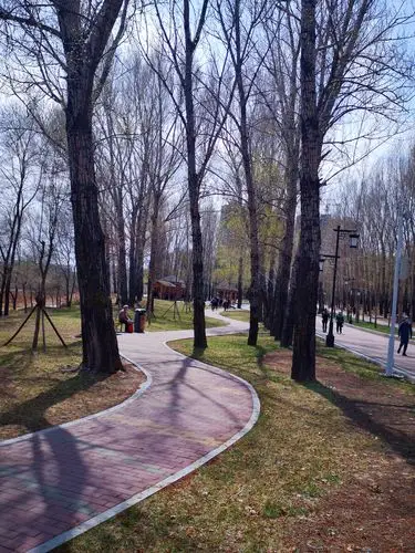 小路弯弯拍摄于鹤岗五指山公园