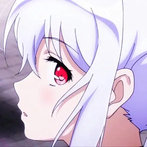 可塑性记忆艾拉