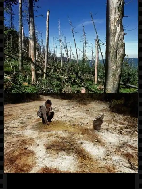 一,酸雨会腐蚀建筑物.那么酸雨的危害究竟有多大呢?