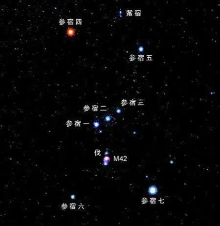 猎户座中最亮星,若把它放到太阳位置上,恒星直径将横跨1/5天空