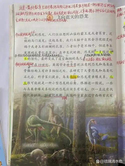 部编版四年级语文下册,第六课 飞向蓝天的恐  我借鉴的,感谢大家78