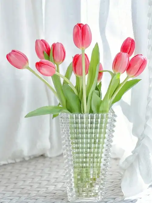 落日郁金香超美巴卡拉花瓶平替找到了