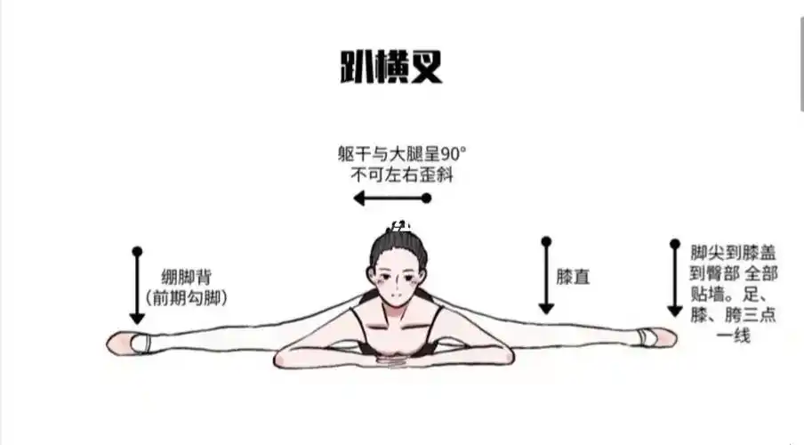 趴横叉标准姿势