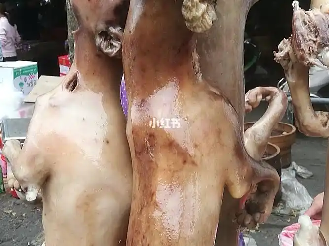 雷州客路的特色美食白切狗我们不吃