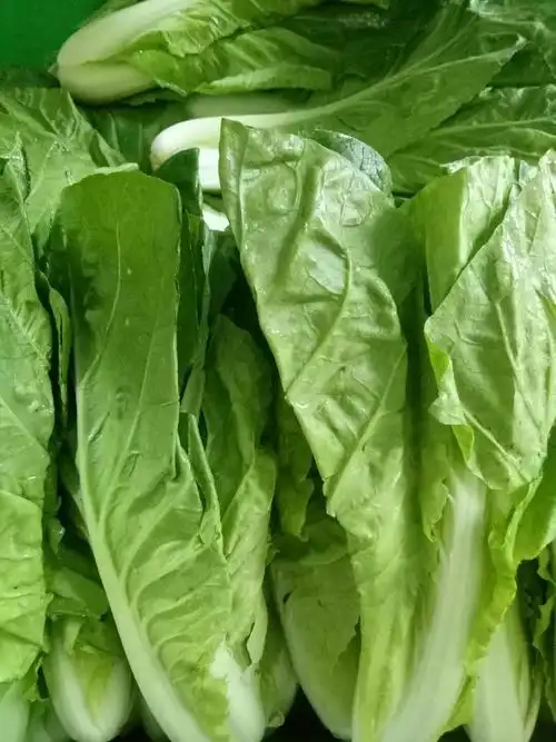 小白菜:4元/公斤