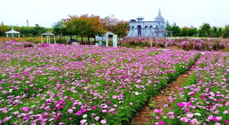 华林庄园 - 中国(东营)国际石油石化装备与技术展览会
