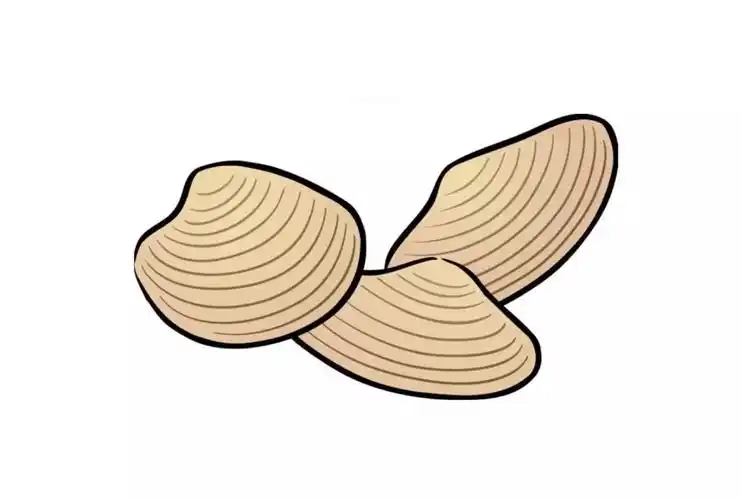 小暑上蒸下煮天儿养生还需补体力