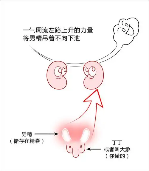 大漫中医女生不许看遗精不止是肾还有肝脾