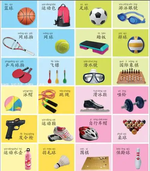 娃娃画报体育用品认知挂图