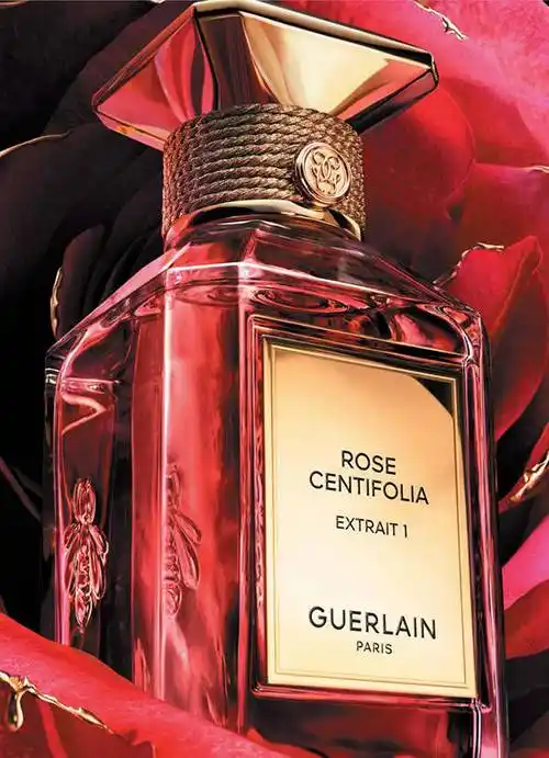 法国娇兰 艺术沙龙 全新香精系列_玫瑰_香气_香水