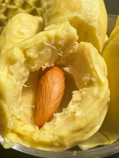 金枕榴莲的挑选方法 金枕榴莲怎么挑选肉多饱满的