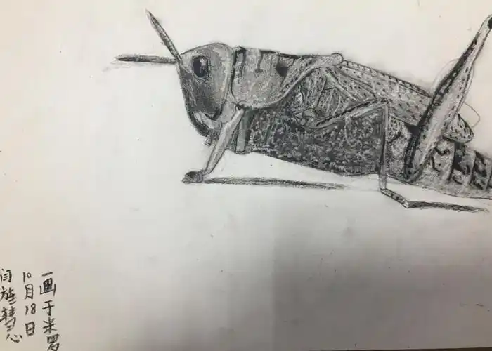 少儿大师班10月17.18日作品赏析