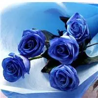 蓝色妖姬超美头像