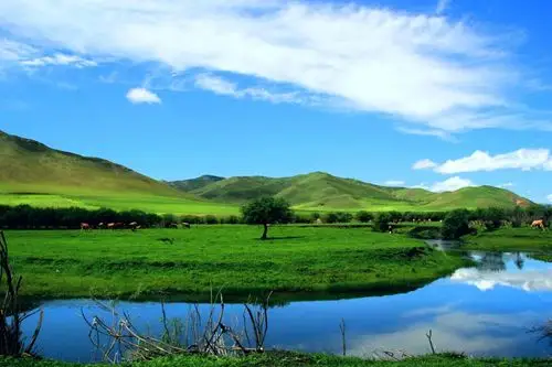 呼伦贝尔大草原是我国现存最丰美的草原牧场,拥有最纯洁的蓝天,白云和