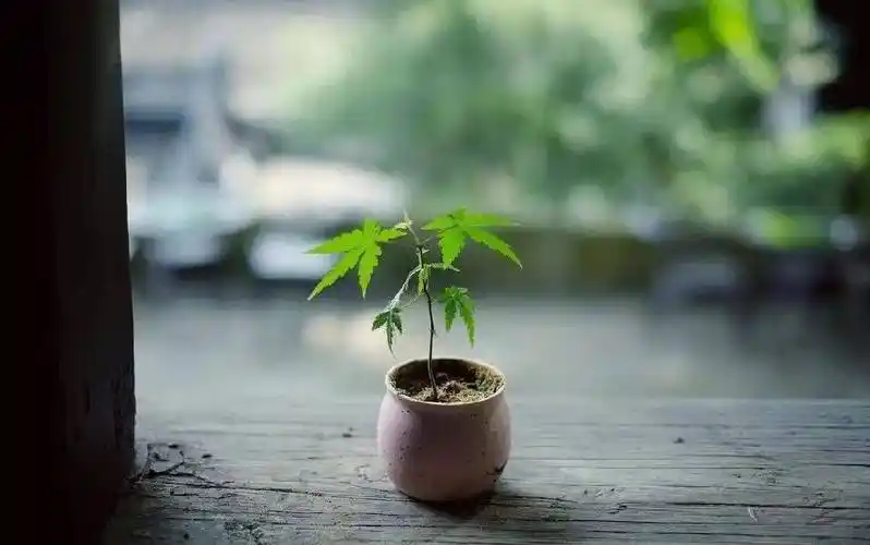 惜命最好的方式,竟不是养生(惊醒无数人!