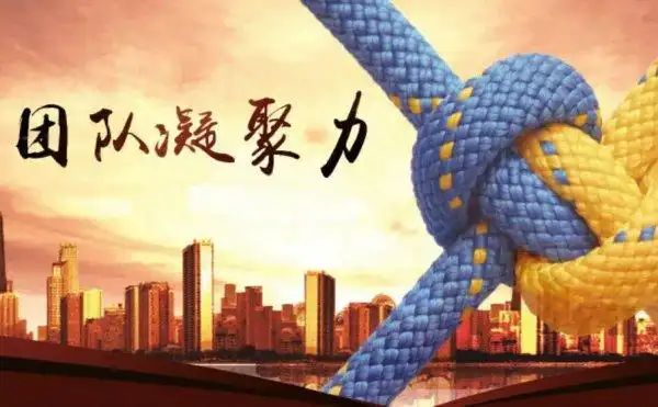 表现团队更有凝聚力的句子彰显团队凝聚力的句子