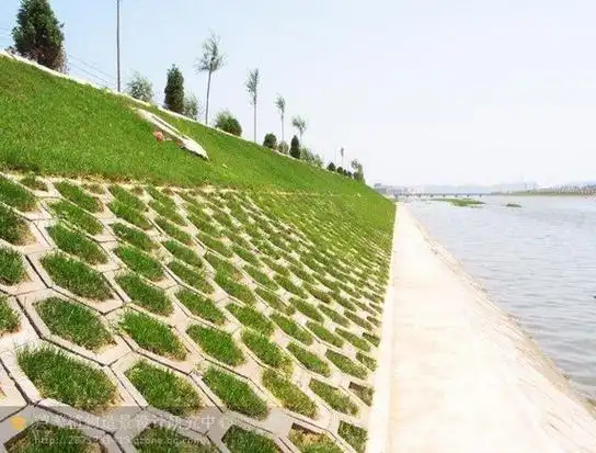 生态护坡与地表水收集系统