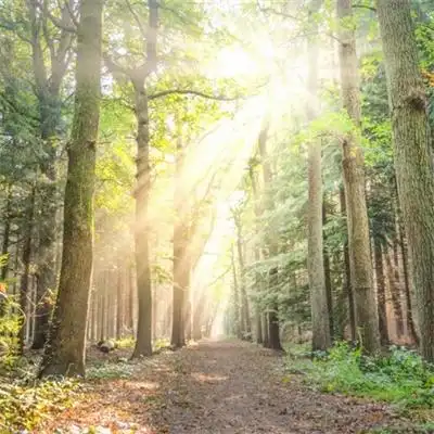 求财旺运势的高清风景吸引人的头像