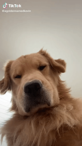 280_498竖版 竖屏gif 动态图 动图