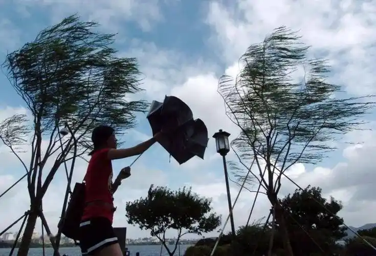 防灾减灾 | 狂风呼啸,这些地方要注意