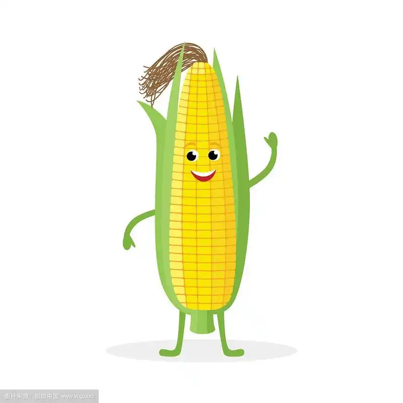 玉米卡通人物孤立在白色
