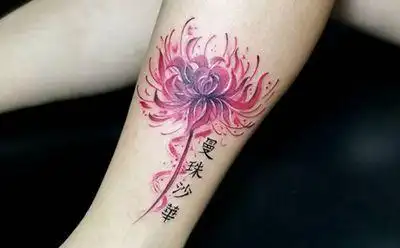 12张小腿曼珠沙华纹身图案彼岸花
