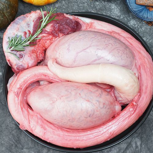 农家新鲜牛鞭现杀黄牛鞭鲜牛宝男用整根整套牛鞭牛宝酷语冷冻鲜牛蛋牛