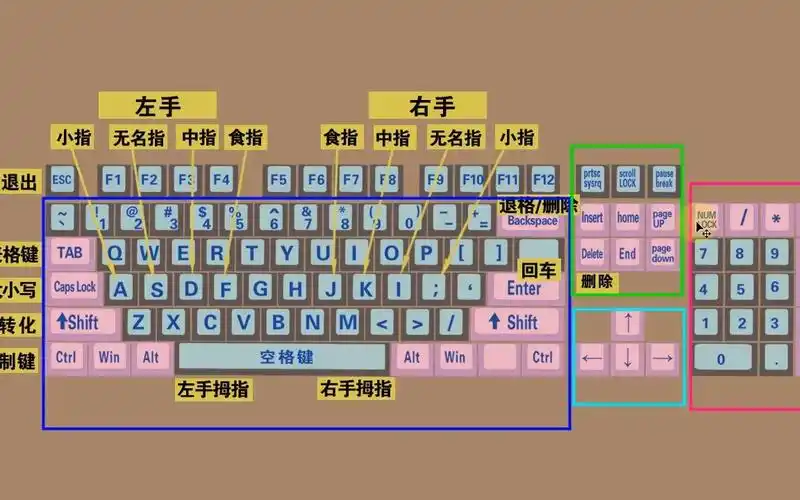 零基础学电脑打字,快速学会键盘打字,适合初学者学习