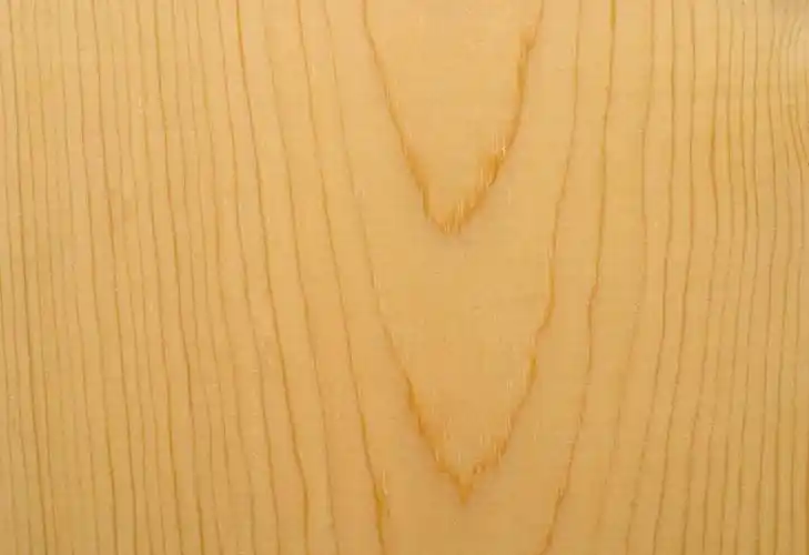 木纹,在松木板上木纹的特写