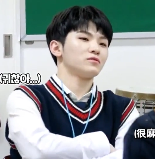 woozi李知勋 seventeen 表情包/头像/自截