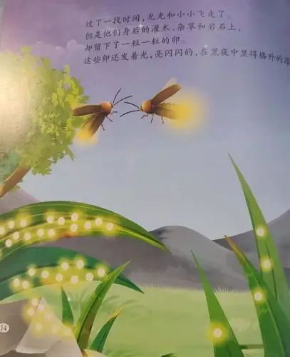 沈闯姐姐故事会 | 《法布尔昆虫记-萤火虫》