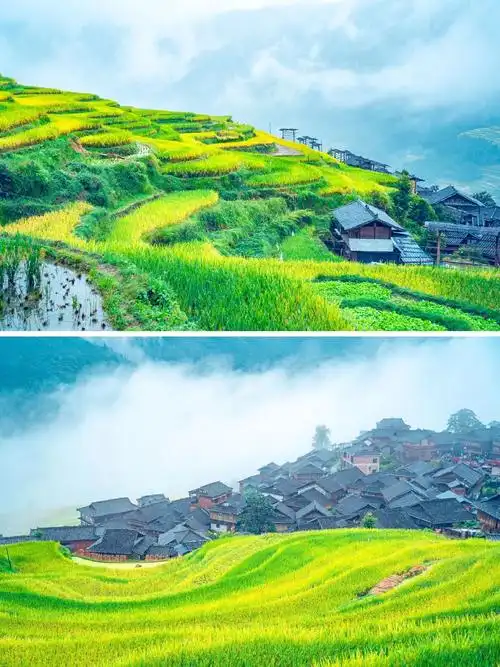 9月,贵州加榜梯田最美的时候.千山万山翠打围,稻田万顷如棋局 - 抖音