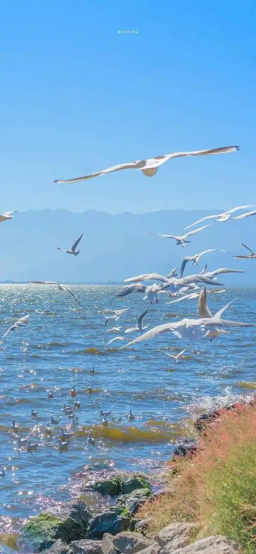 ios高质量壁纸 / 专辑封面做壁纸