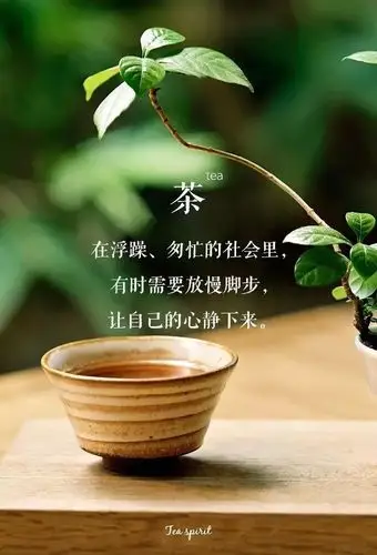 白岩松说茶是一种"宗教":爱喝茶的人,最值得深交
