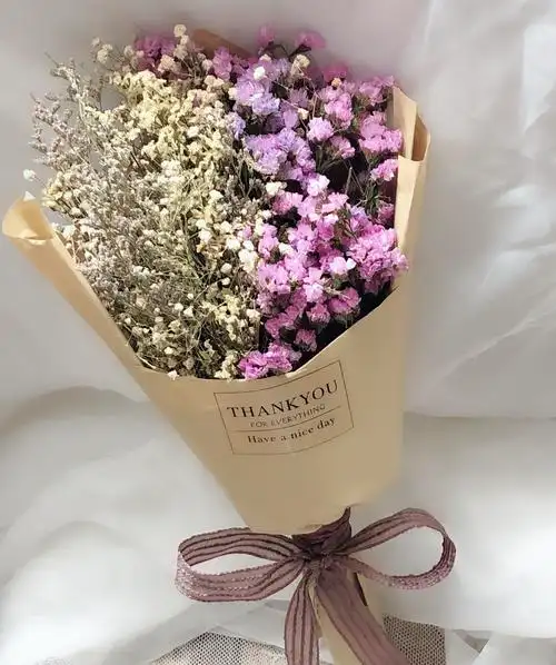 花束云南干燥勿忘我满天星干花模特手捧拍摄道具干花