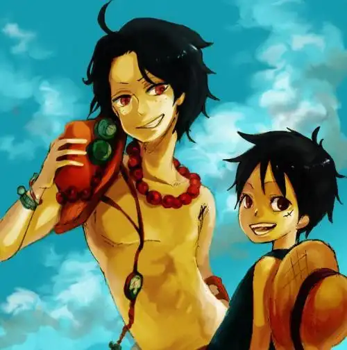 路飞与艾斯兄弟头像