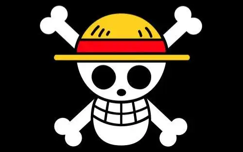 0001.土豆网-上海2015onepiece音樂會