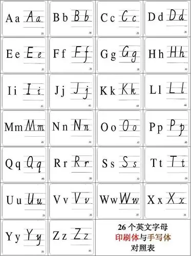 展开全部 罗马手写体.