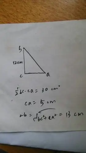 在直角三角形abc中,角c=90度,bc=12cm三角形的面积=30平方厘米,求ab的