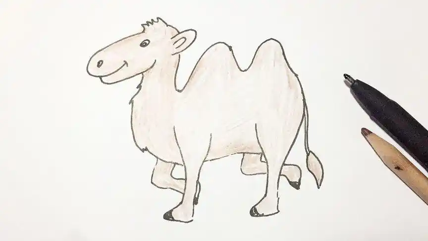骆驼简笔画,简单一分钟学会的画画,你也可以的噢