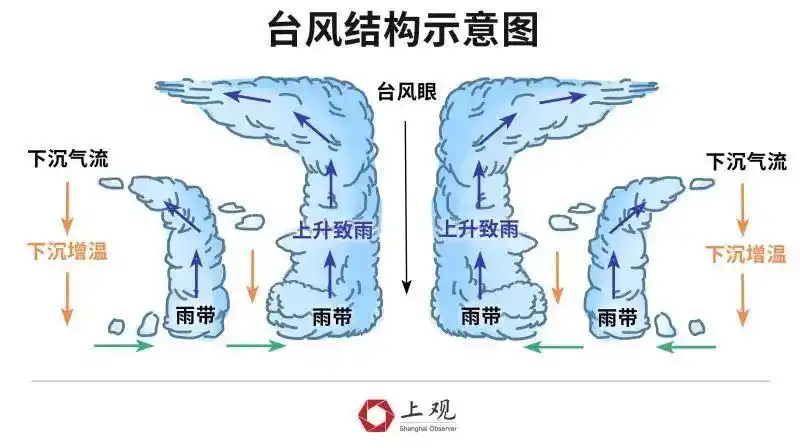 11时起地铁5条停运线路将逐步恢复运营,为什么魔都遇到台风总有"结界"