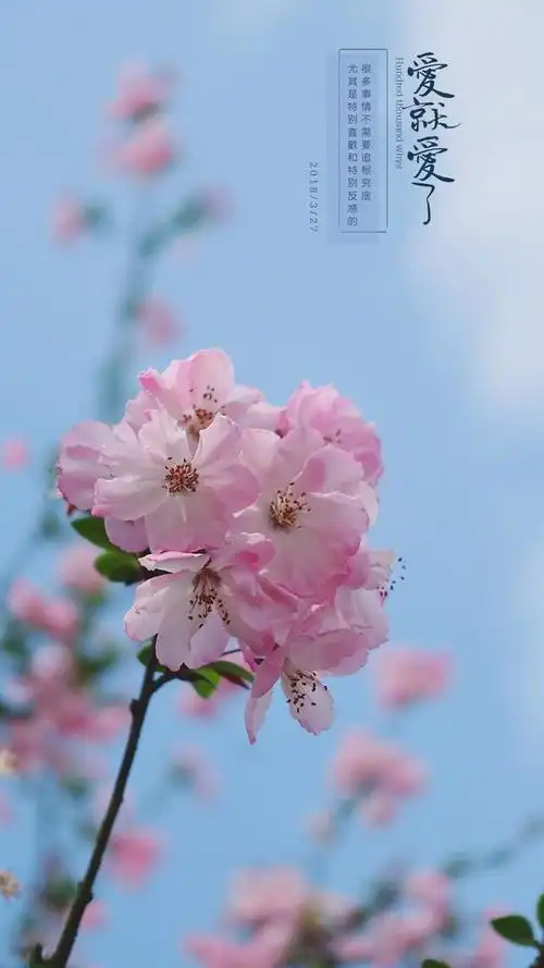 优质唯美壁纸,唯美好看壁纸(20张精选唯美壁纸图片)