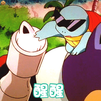 醒醒 杰尼龟动态表情包_杰尼龟_醒醒_动态表情