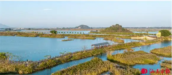 海丰大湖湿地成为网红打卡点_县区新闻_汕尾市人民政府门户网站