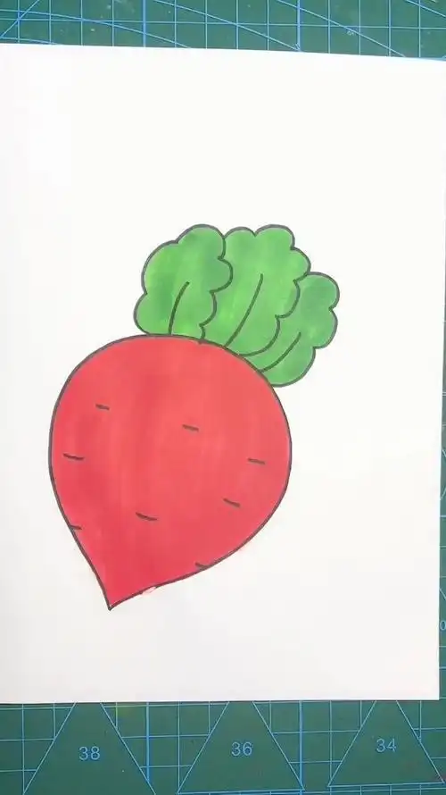 儿童画画简笔画教程 两款蔬菜萝卜的幼儿简笔画的画法小萝卜简笔画