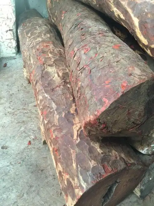 进口赞比亚血檀原木防腐木板材批发 张家港原木板材市场现货供应