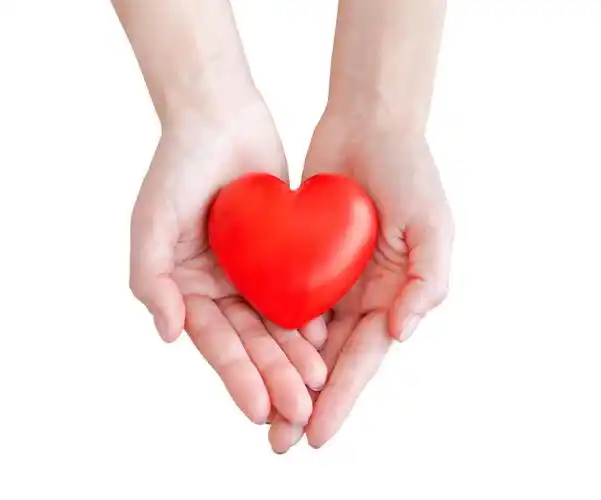 女生手里红色的爱心