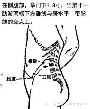 大腿外侧胆经有一个天然的标志,就是人们裤线的循行位置.