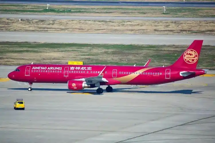 吉祥第11年他们做了三件事